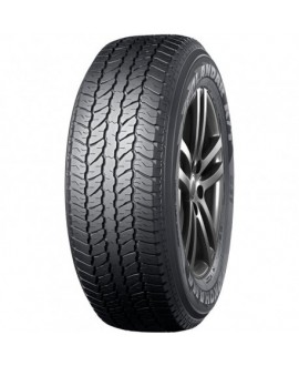 GEOLANDAR A/T G31C