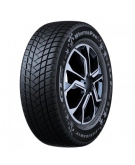 WINTERPRO 2 (EVO)