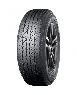 GEOLANDAR A/T G31C