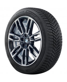 WINTER ICEPT EVO4 (W340)