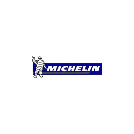 Michelin AGILIS X-ICE NORTH+ 235 / 65 R16C Padangos