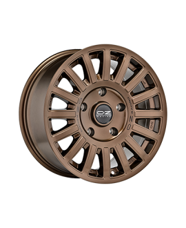 RALLY RAID GLOSS BRONZE BLACK LETTERING