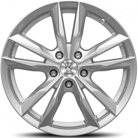 Fast Glossy Silver