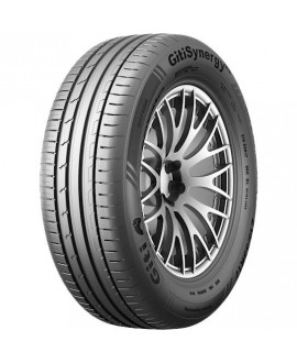 GITISYNERGY H2