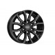 KC Black