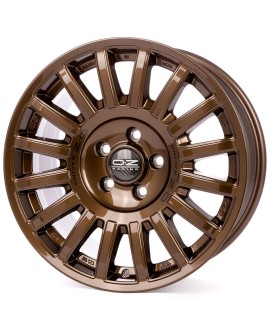 Rally Raid Gloss Bronze Black Lettering