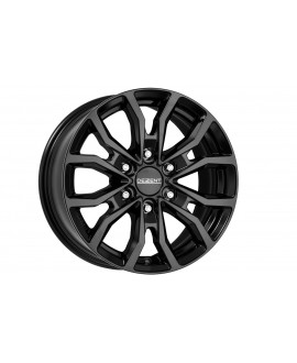 KC Black