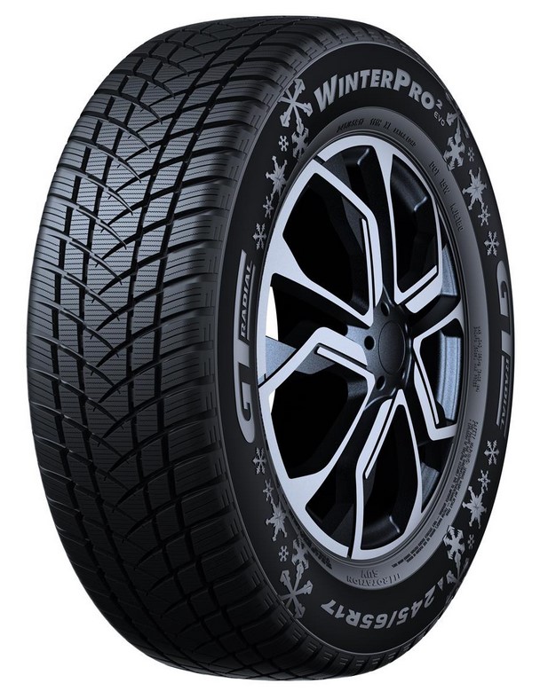 GT RADIAL WinterPro 2 padangos